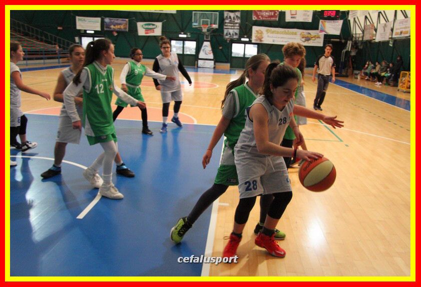 170107 basket 108_tn.jpg